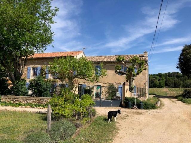 Mas De Costebelle Bed & Breakfast Bollène Екстериор снимка